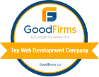 Top Web Development Company 2018