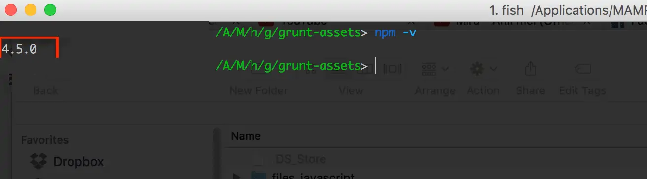 Checking NPM installed correctly