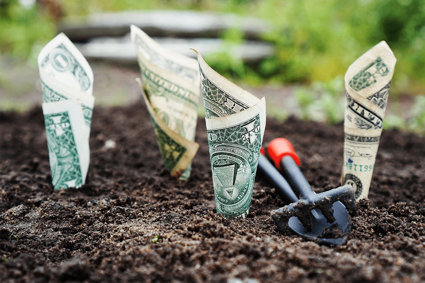 How To Build A Recurring Revenue Business Online Using WordPress
