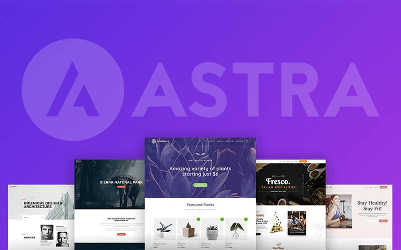 Astra WordPress Theme - WPRiders Article