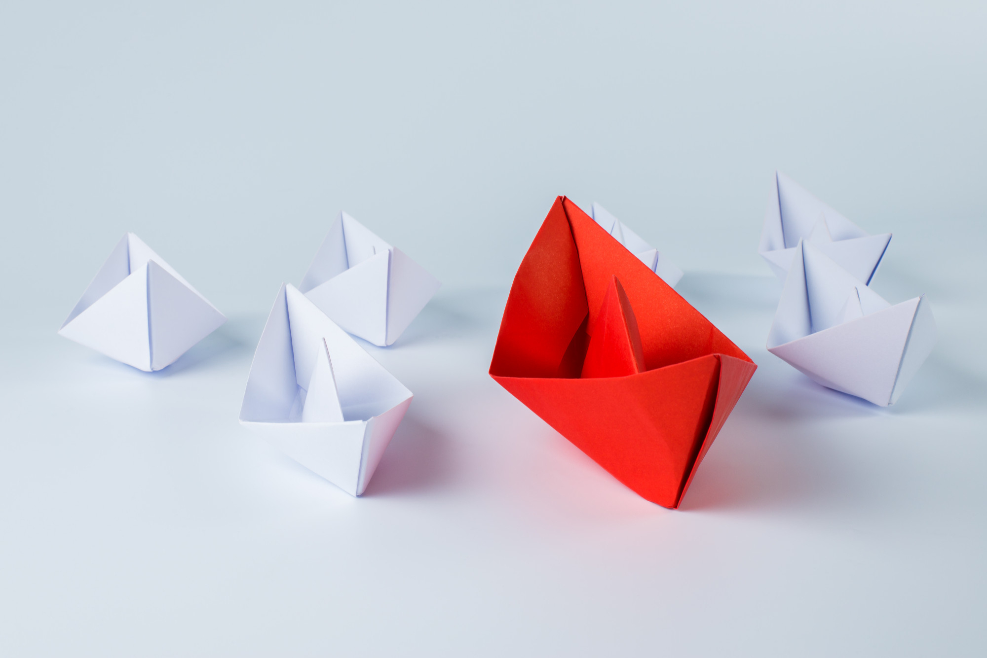 What You Should Know About the WordPress Divi Theme - WPRiders Article