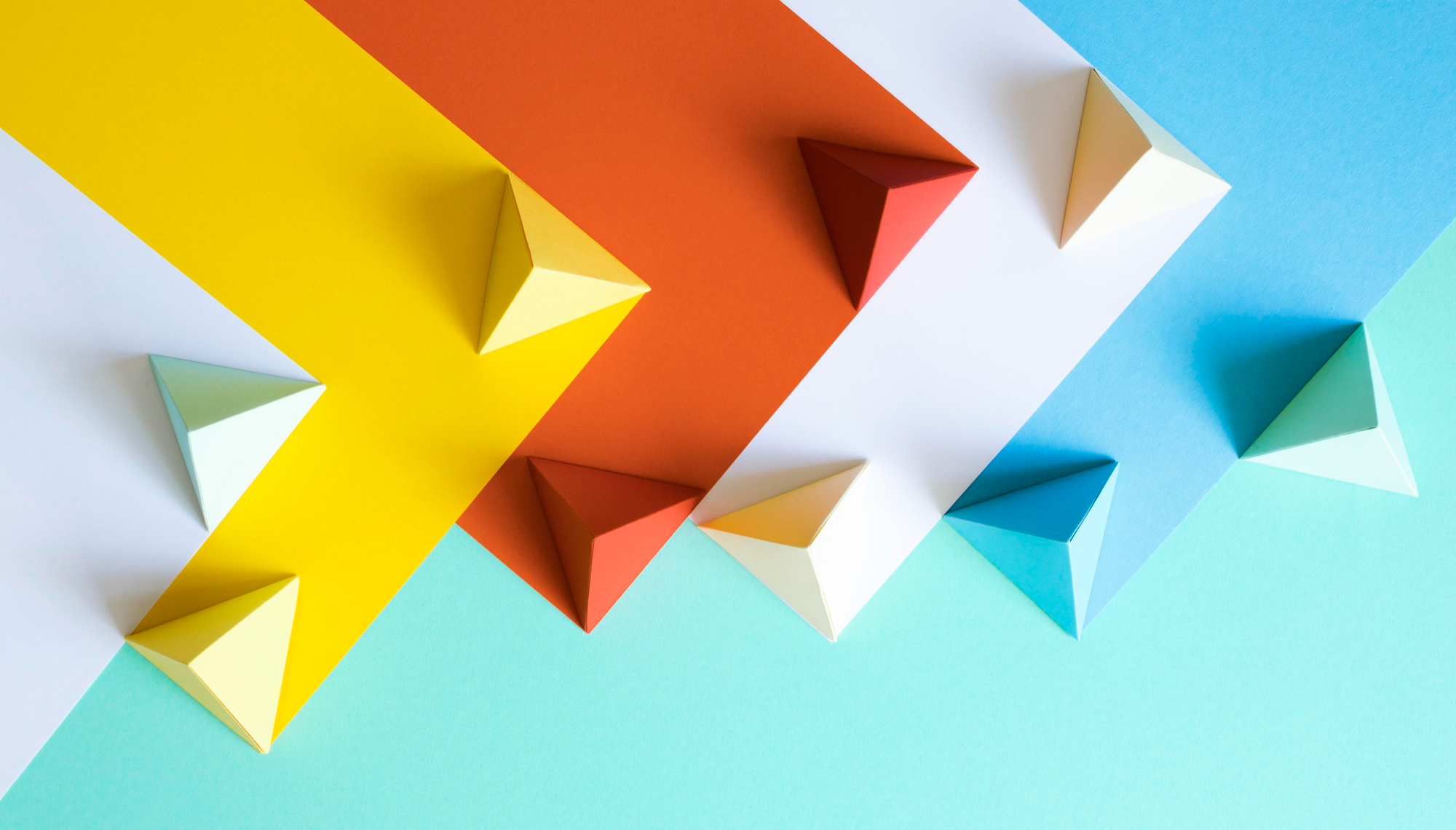 What You Should Know About the Wordpress Divi Theme - WPRiders Article
