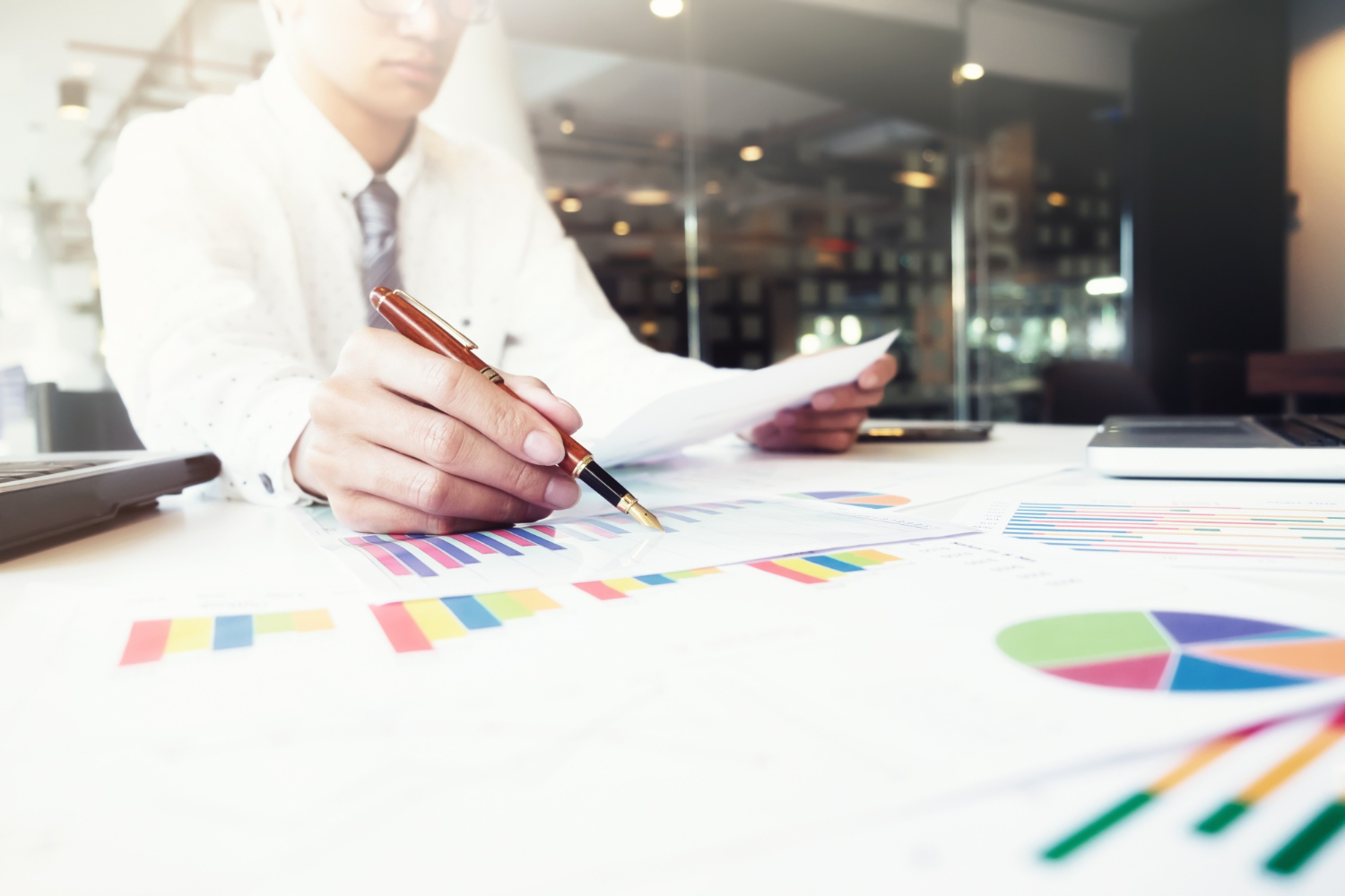 Calculating ROI on WordPress Development Projects - WPRiders Article