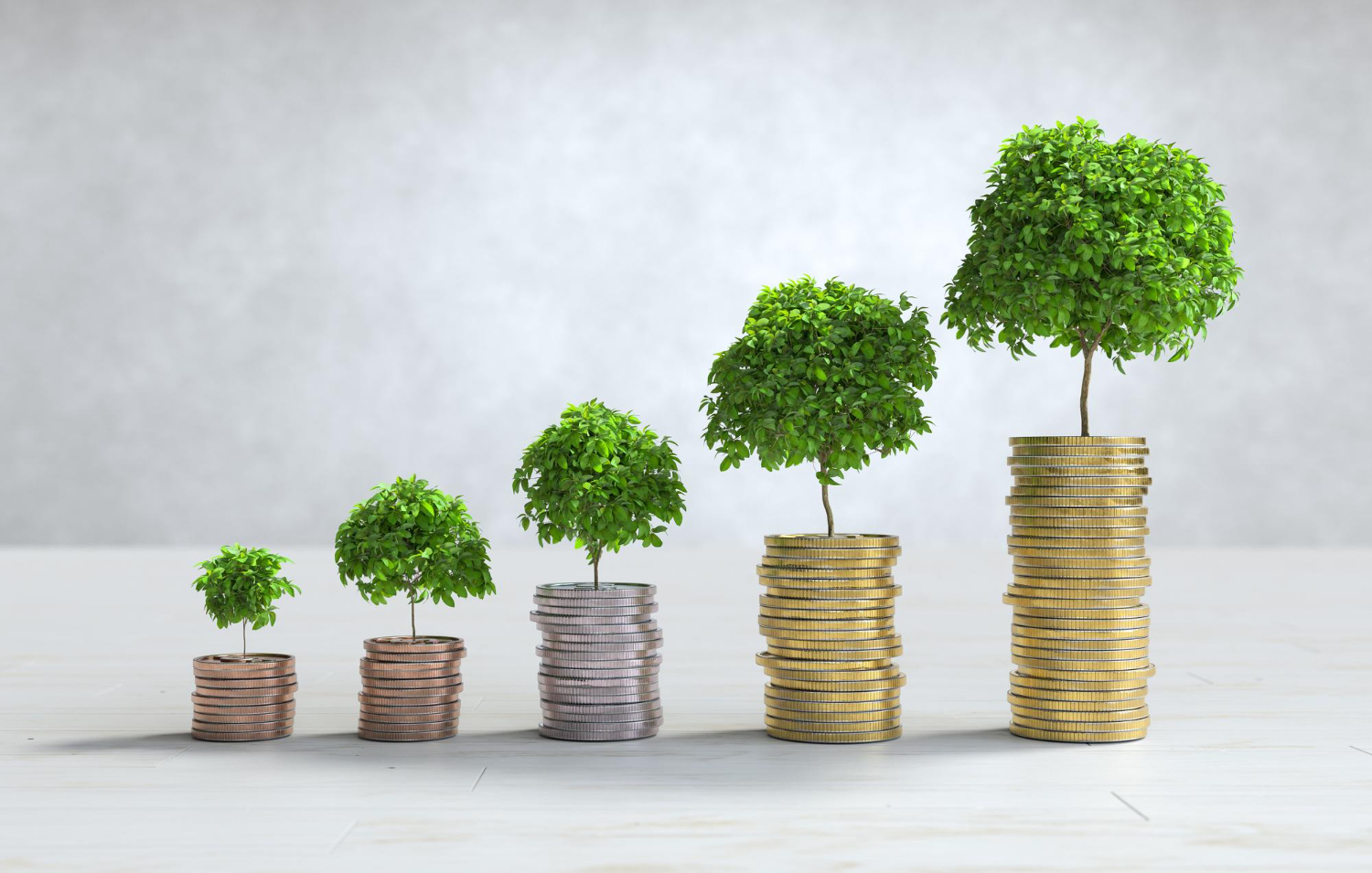 Calculating ROI on WordPress Development Projects - WPRiders Article