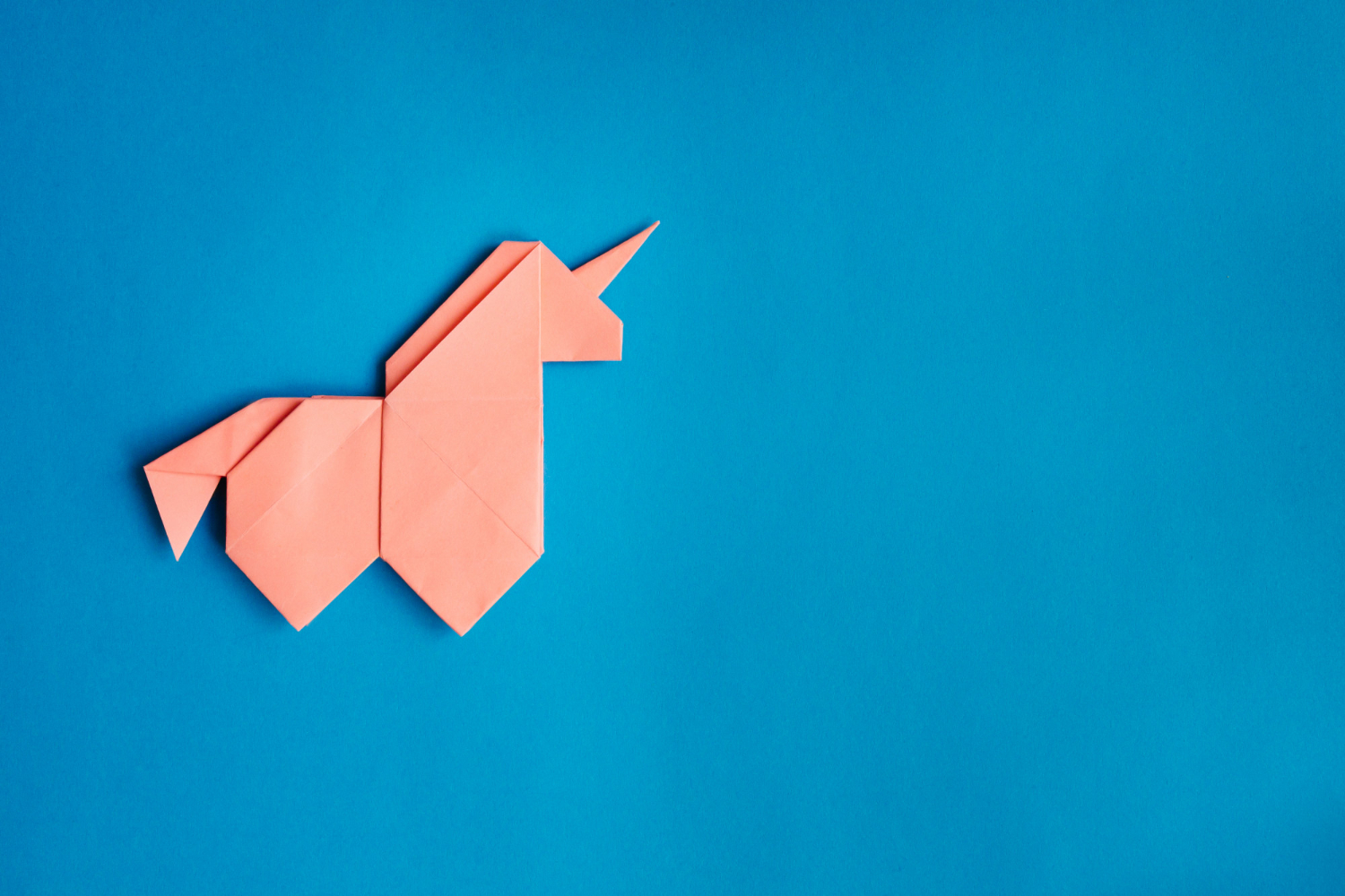 Get the Right WordPress Site Audit - WPRiders Article