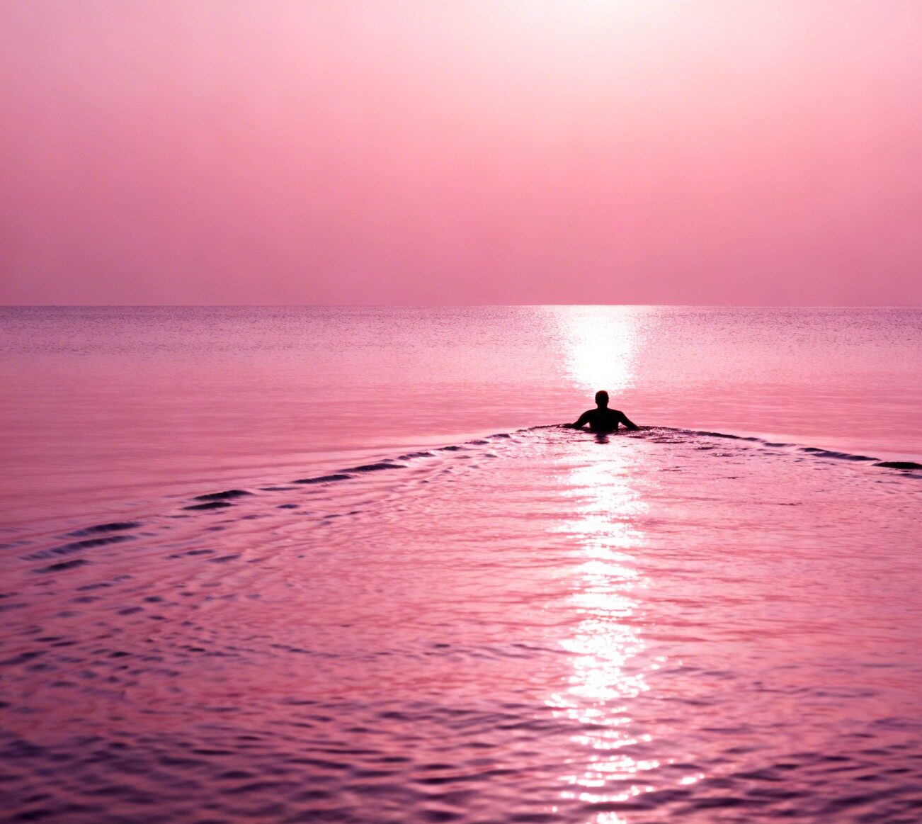 Responsive Website Design Solutions — Engineered for Performance. Built for Revenue - WPRiders Website